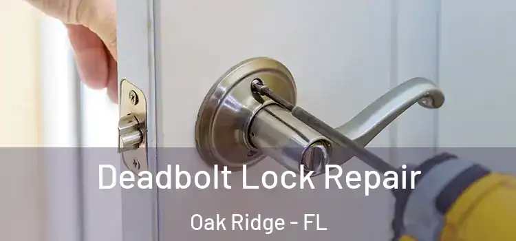 Deadbolt Lock Repair Oak Ridge - FL
