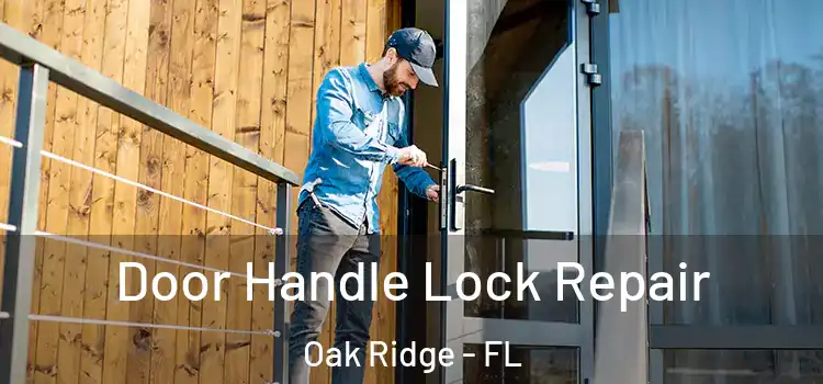 Door Handle Lock Repair Oak Ridge - FL