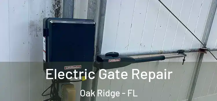 Electric Gate Repair Oak Ridge - FL