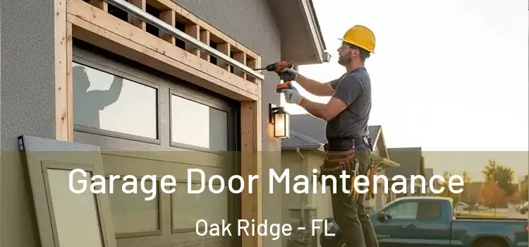 Garage Door Maintenance Oak Ridge - FL