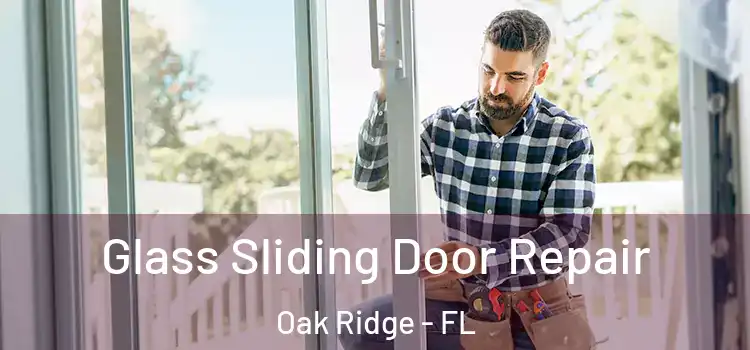 Glass Sliding Door Repair Oak Ridge - FL