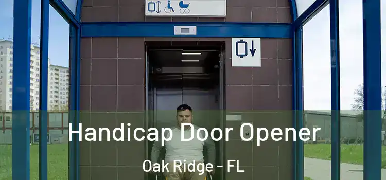 Handicap Door Opener Oak Ridge - FL