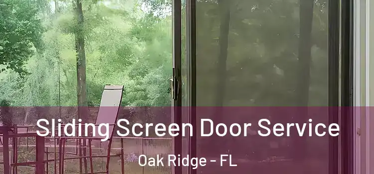 Sliding Screen Door Service Oak Ridge - FL