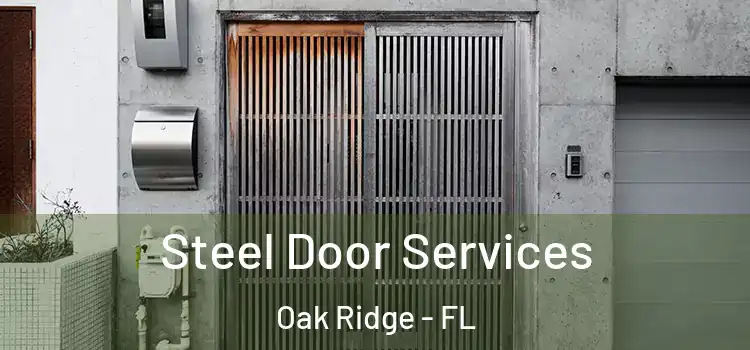 Steel Door Services Oak Ridge - FL